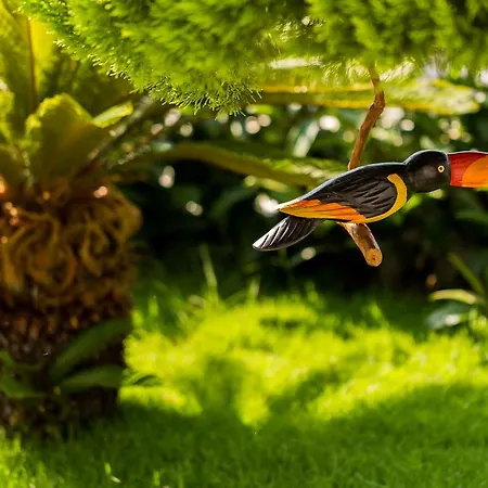 Отель Kore Кешме